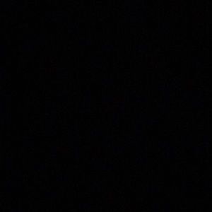 Meet your Posher, Lester